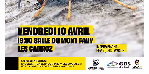 R\u00e9union d'information "le frelon asiatique"