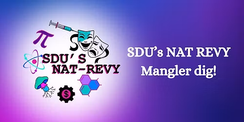 Infom\u00f8de for NAT-Revy 2026