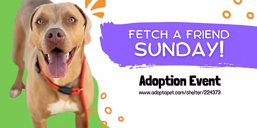 Fetch a Friend Sunday