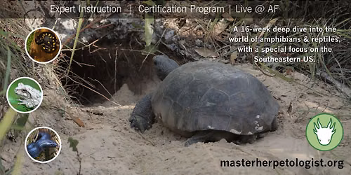  Master Herpetologist Program - Live - Fall 2026