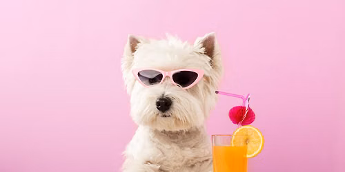 Yappy Hour