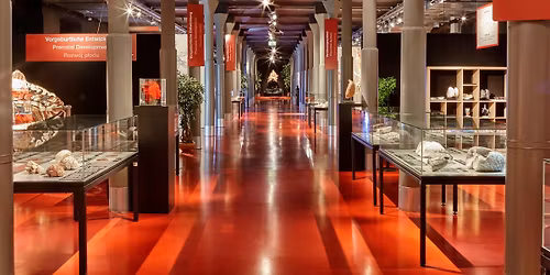SONDERF\u00dcHRUNG \ud83d\udd2cSPECIAL GUIDED TOUR \ud83d\udd2cSPECJALNE ZWIEDZANIE \ud83d\udd2c
