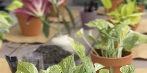 Plant Pals: Pot-A-Plant