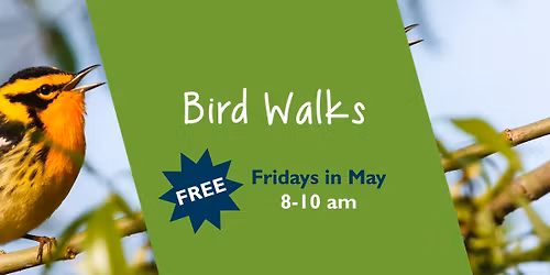 Bird Walk