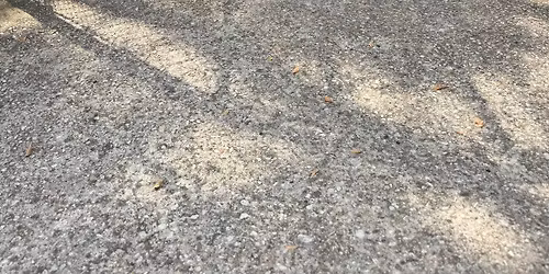 Let\u2019s go walking Everyone