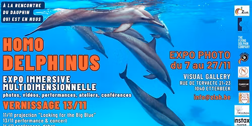 HOMO DELPHINUS - EXPO IMMERSIVE & MULTIDIMENSIONNELLE