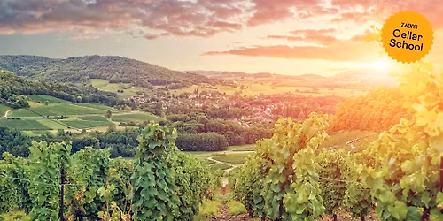 Zachys Cellar School:  Burgundy 201