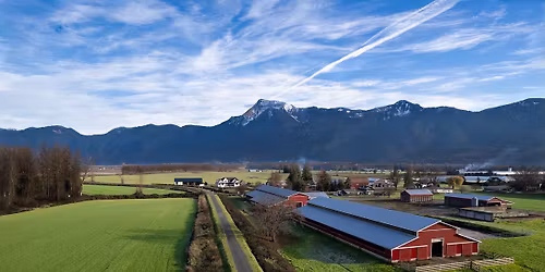 Jellies and Jam Canning Class
