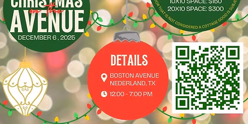 Performance - Christmas on the Avenue