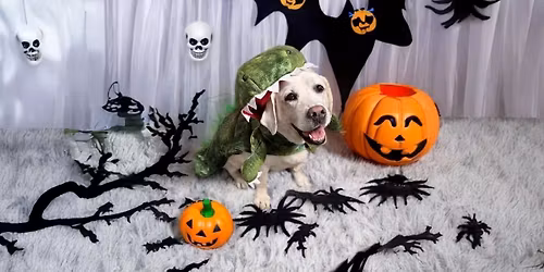 Halloween Daycare Party