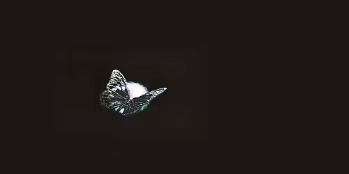 Boys Noize, LSDXOXO, Baseck in Paris