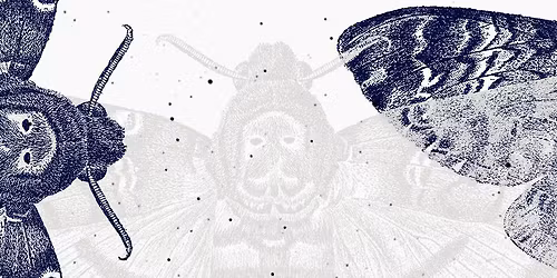 D\u00f8dens Toner - Koncert med Danmarks Underholdningsorkester