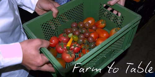 Farm to Table Dinner