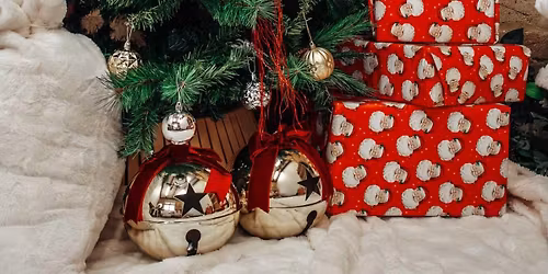 Christmas Mini Photoshoot at Elevated 