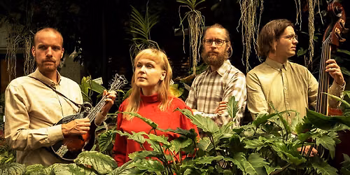 Open String Department \/\/ Albumslippfest p\u00e5 Kampen Bistro