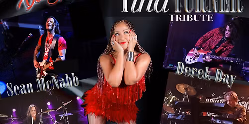 The Tina Turner Tribute 