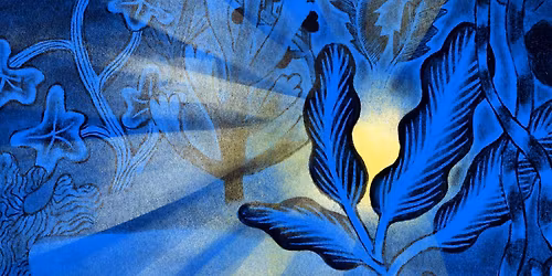 Barnkultursymposium 2026