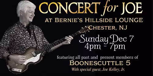 Concert for Joe
