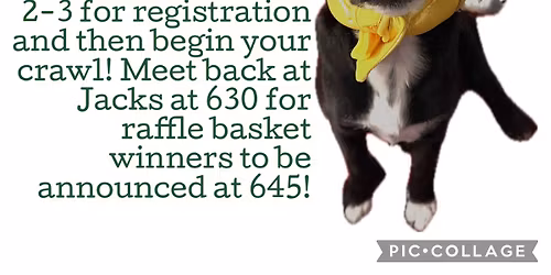 2025 Misplaced Mutt Bar Crawl 