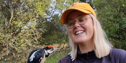 Tegn og l\u00e6r om danske dyr