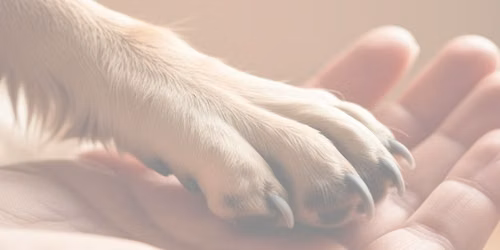 The Journey To Trust Seminar: quiet the mind\/open the heart\/teach the dog