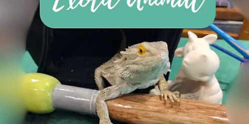 Paint WITH YOUR Exotic Animal