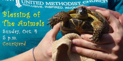 Blessing of the Animals