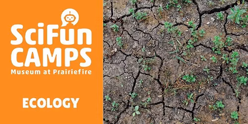 SciFun Camp: Ecology