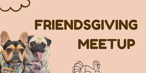 Friendsgiving Meet up with DFW French Bulldogs