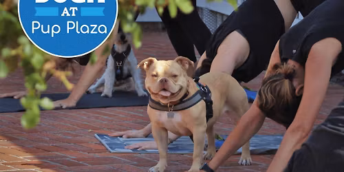 Doga
