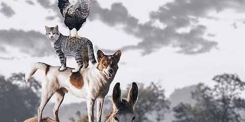 Umetnost otrokom: BREMENSKI GODCI