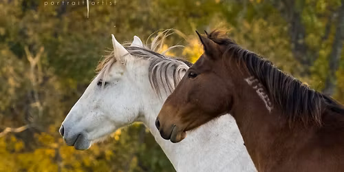 5th Annual Open House