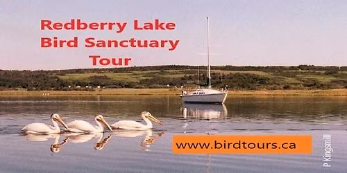 Redberry Lake Bird Sanctuary Tour