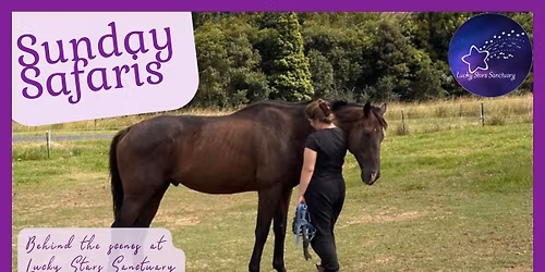 Sunday Safaris