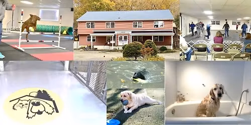 Haystack Fun Hunt for you and your dog within a closed area.