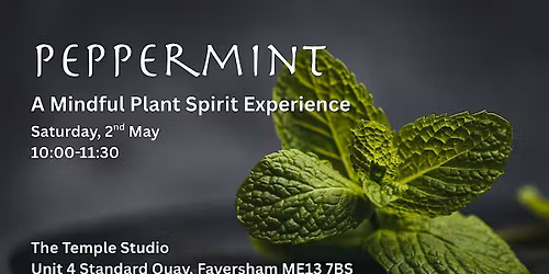 Peppermint: A Mindful Plant Spirit Experience