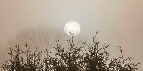Celebrating Solstice - Chakradance\u00ae Experience