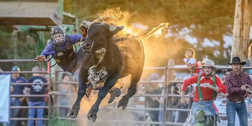 Brash Rodeo Summer Series