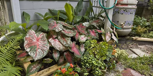 Fall Rain Barrel Workshop
