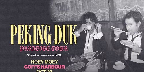Peking Duk live at the Hoey Moey!