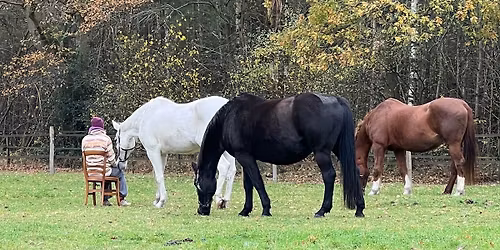 \ud83e\udd84 ZIJN bij de Kudde - Rust in de Kerstdrukte \u2728