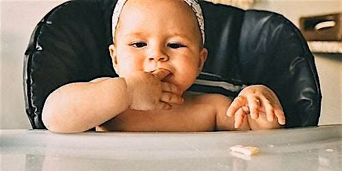 Let's Get Weaning in October