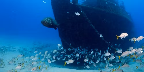 2-Day Dive Trip: Night Dive + Wreck Dive