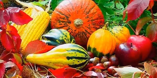 Harvest Lunch with Oldland Ukulele Club