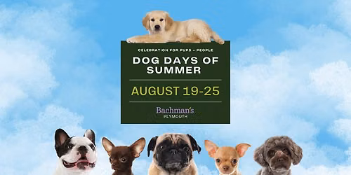 Dog Days of Summer - Plymouth