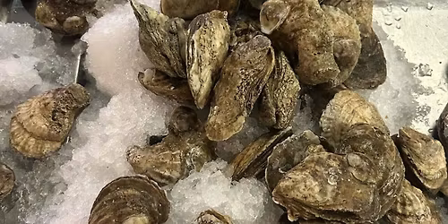 Oyster Happy Hour