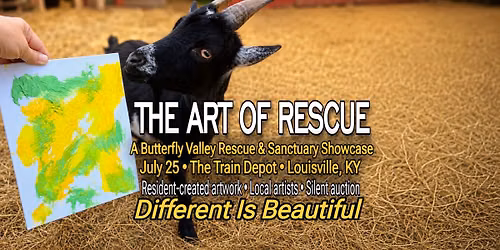 THE ART OF RESCUE | A Butterfly Valley Rescue & Sanctuary Showcase