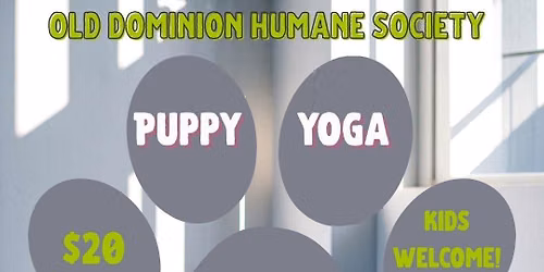 Yoga Pawty - October 9