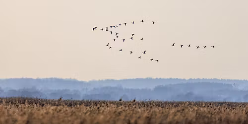 Jednodniowa wyprawa nad Biebrz\u0119 