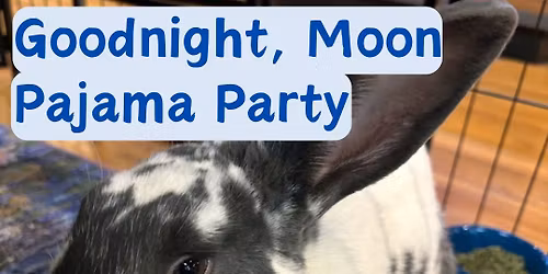 Goodnight, Moon Pajama Party